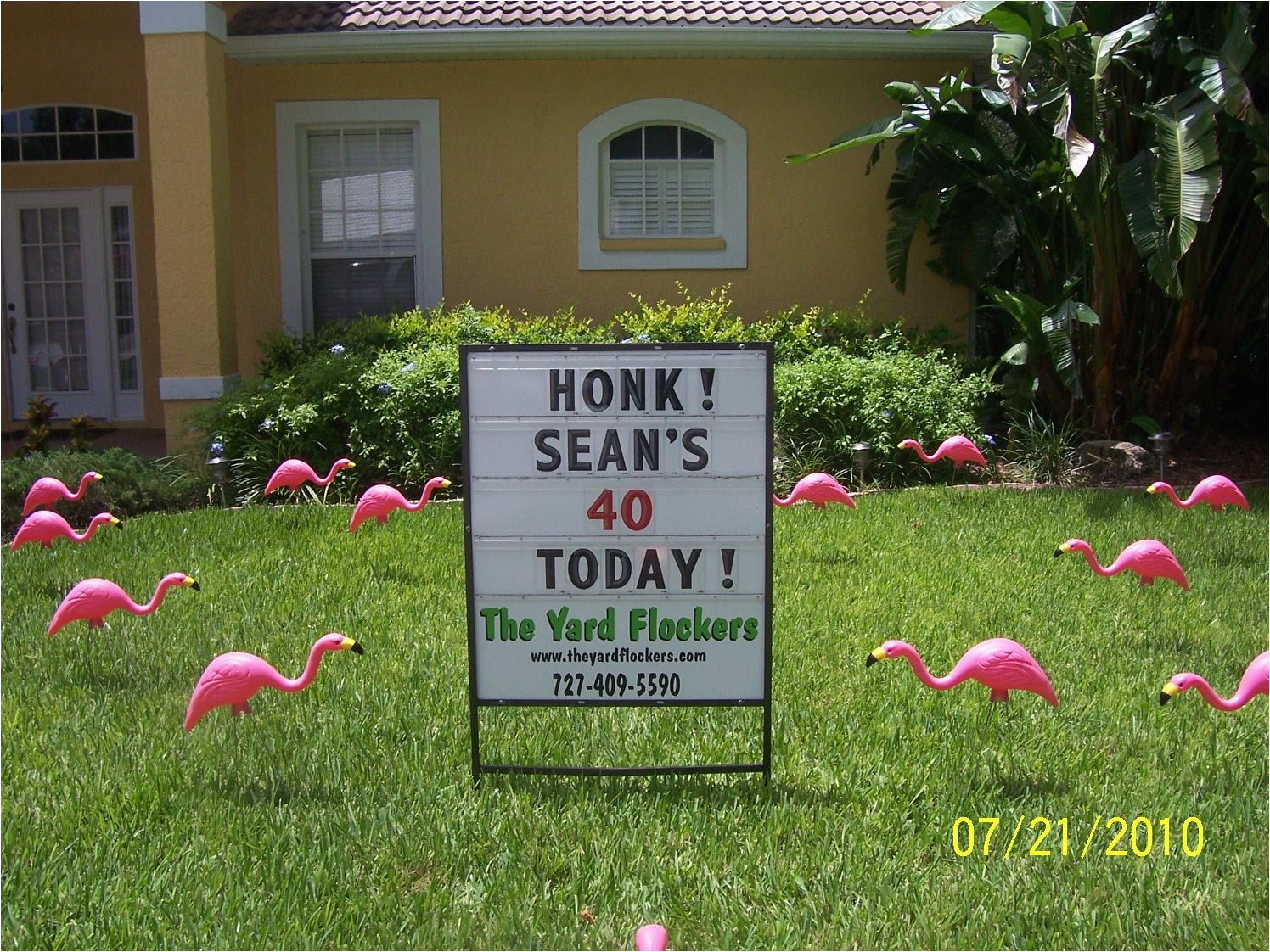 50th Birthday Lawn Decorations the Yard Flockers Pinellas County Fla 727 409 5590 Www