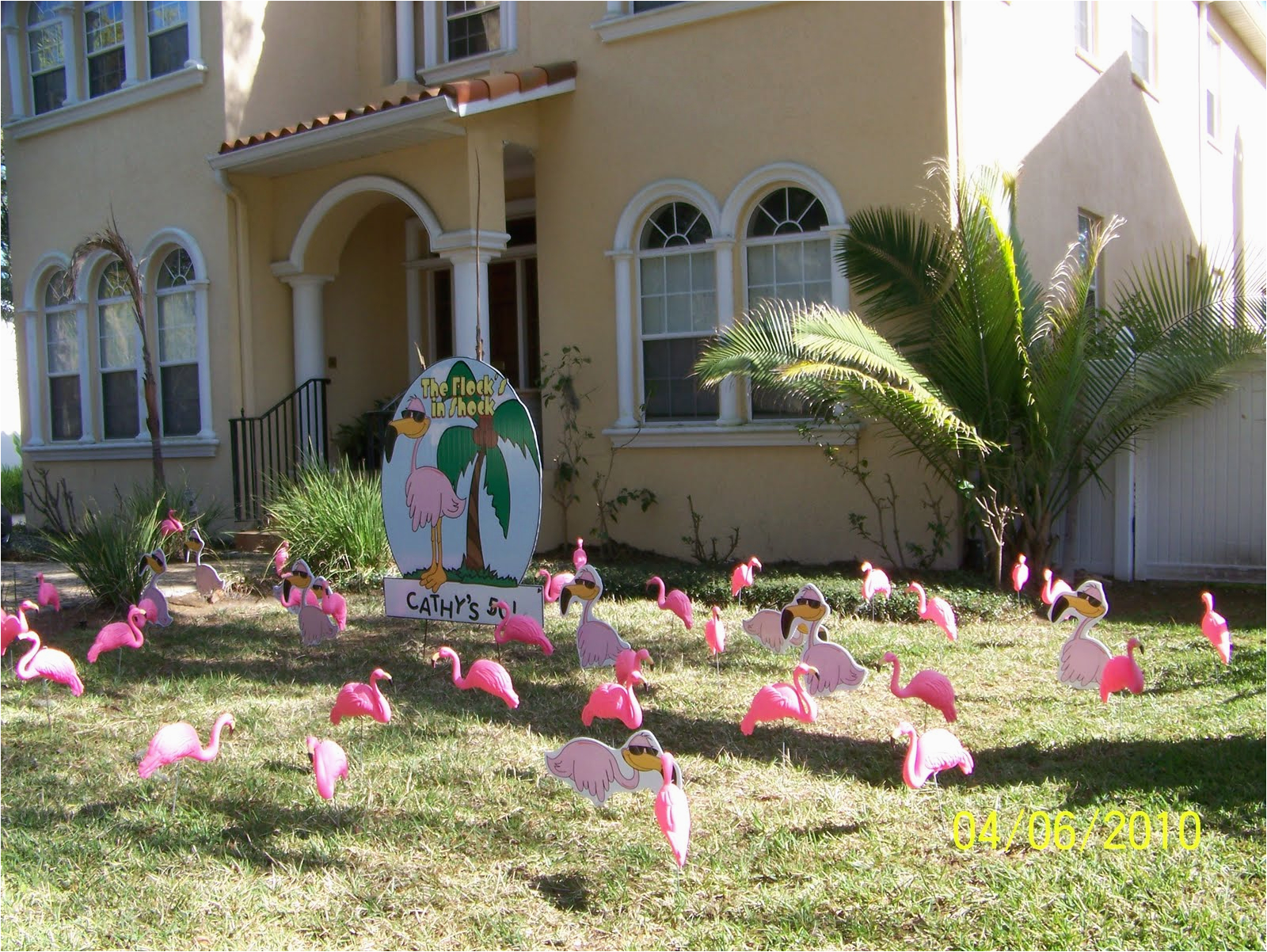 50th Birthday Yard Decorations Flock N Surprise 727 687 8111 Largo Florida Www