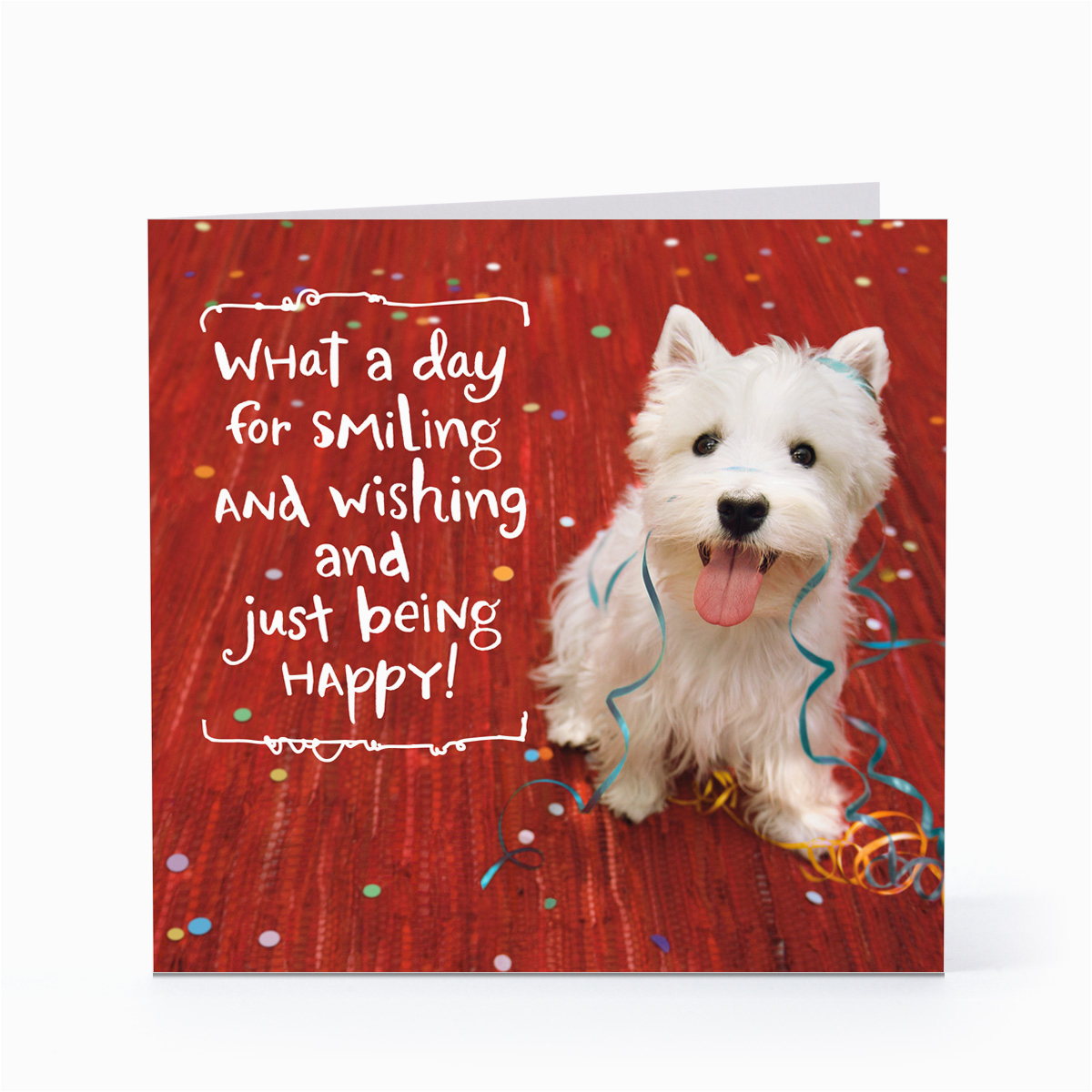 Birthday Card with Dogs Smiling Happy Dog Birthday Cards Hallmark Card Pictures