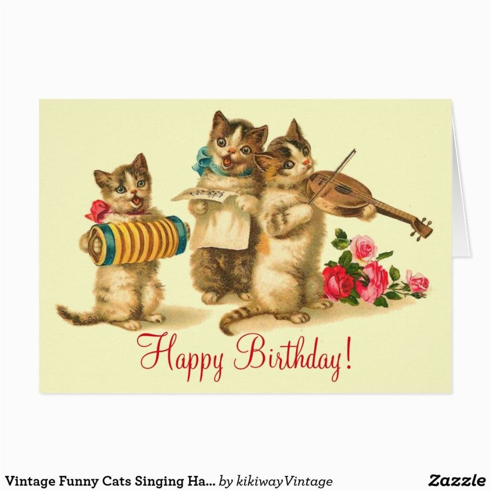 birthday cards with cats on them