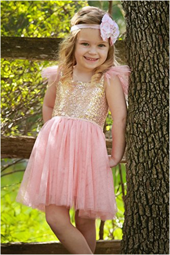 Birthday Dresses for Little Girls Heart to Heart Birthday Dress for Little Girls Princess