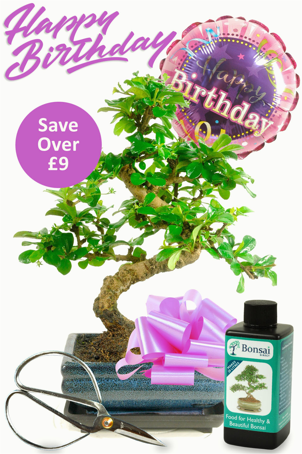 Birthday Gifts Delivered for Her Flowering Bonsai Birthday Kit for Her with Free Delivery