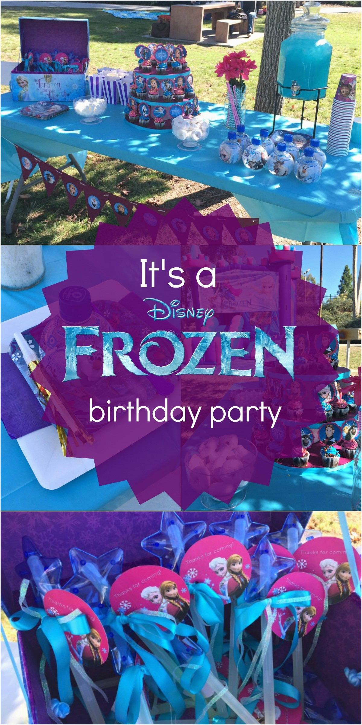 Blue and Purple Birthday Decorations Disney 39 S Frozen Birthday Party Ideas Pink Purple Blue