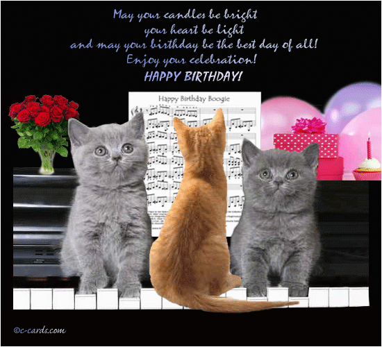 Cat Birthday E Card Cats Birthday Boogie Free Funny Birthday Wishes Ecards