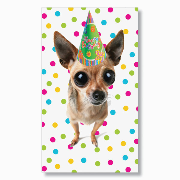 Chihuahua Birthday Cards Chihuahua Birthday Cards