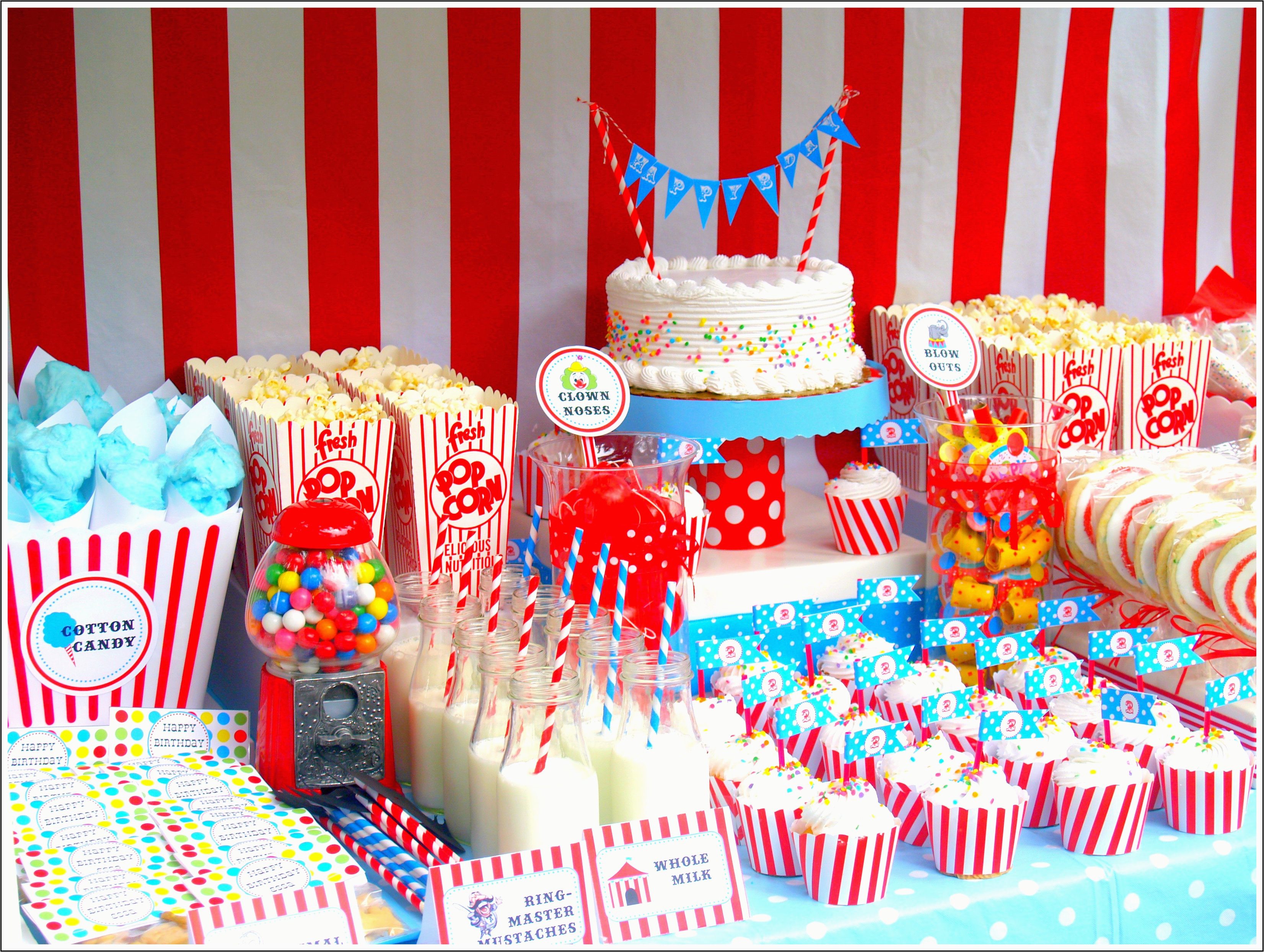 Circus themed Birthday Party Decorations Circus Party Ideas