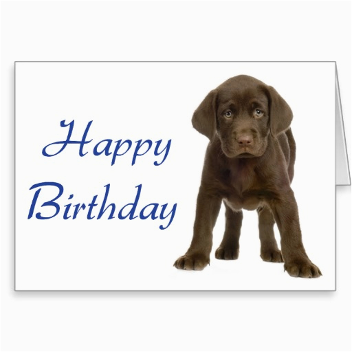Dog Birthday Card Sayings Happy Birthday Quotes for Dogs Quotesgram Dog Birthday Card Sayings Happy Birthday Quotes for Dogs Quotesgram