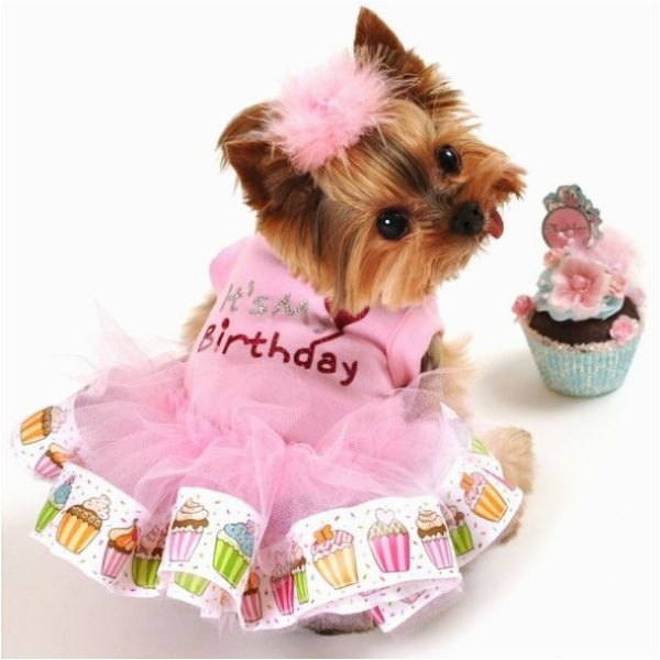 Dog Birthday Dresses It 39 S My Birthday Dog Tutu Dress