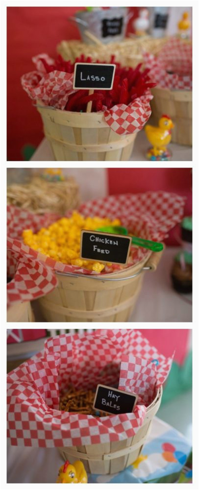 Farm themed Birthday Decorations Farm themed First Birthday Party Pretty My Party