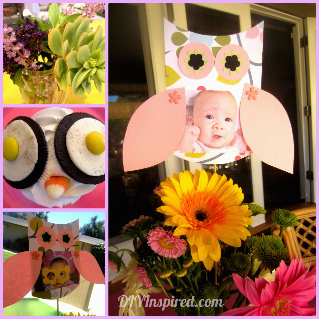 First Birthday Owl Decorations Owl themed First Birthday Diy Inspired