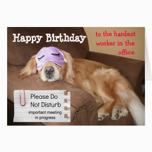 Funny Coworker Birthday Cards Funny Co Worker Birthday Quotes Quotesgram