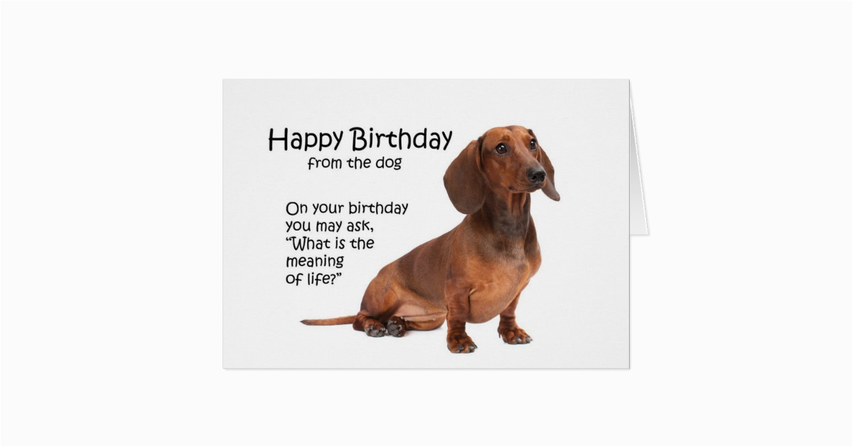 Funny Dachshund Birthday Cards Funny Dachshund Birthday Card Zazzle Ca