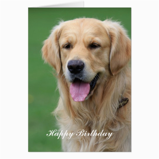 Golden Retriever Birthday Cards Golden Retriever Dog Happy Birthday Greeting Card Zazzle