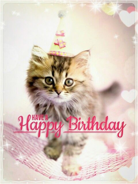 Happy Birthday Cards with Cats Cat Memes Happy Birthday Cat Memes Funny Cat Memes