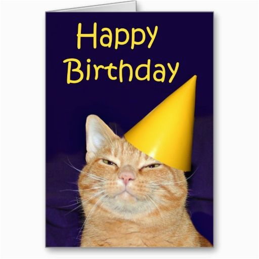 Happy Birthday From the Cat Card 17 Best Images About Cat Birthday Cards On Pinterest