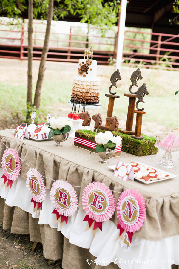 Horse Decorations for Birthday Party Adorable Girl Birthday Party Ideas