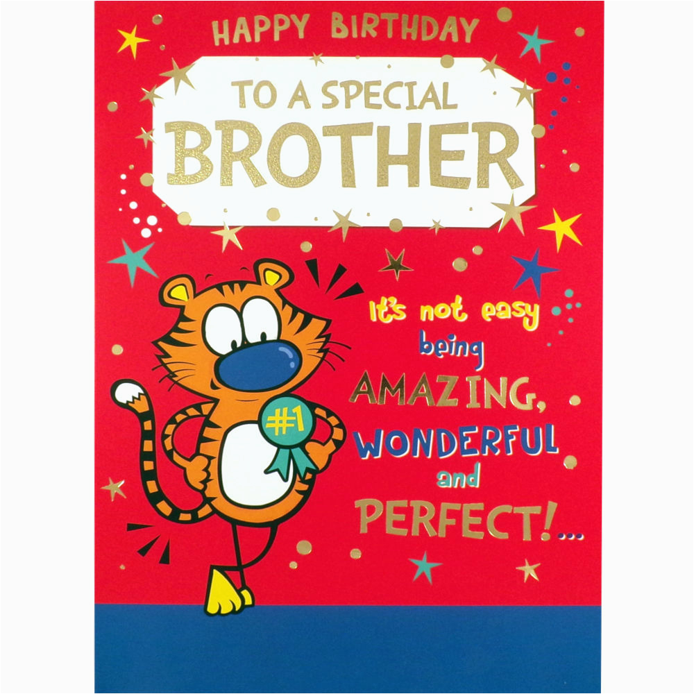 Humorous Birthday Cards for Brother Brother Birthday Card Funny Rude Humorous Greetings Card