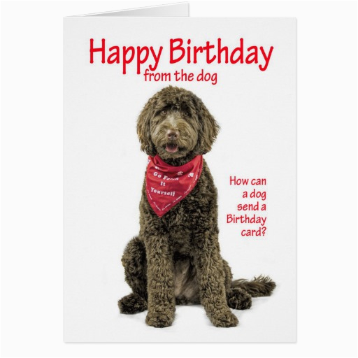 Labradoodle Birthday Card Labradoodle Birthday Card Zazzle