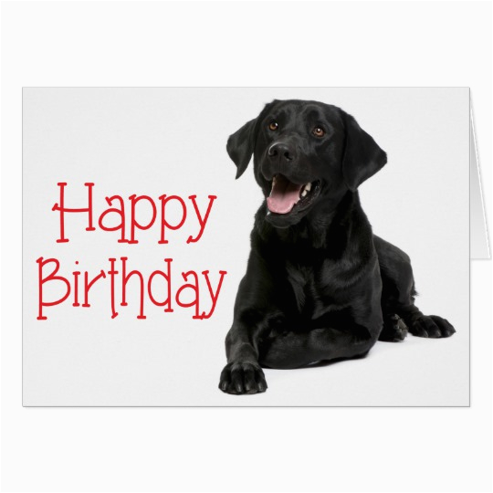 Labrador Birthday Cards Happy Birthday Fun Card with Labrador Dog Zazzle Co Uk