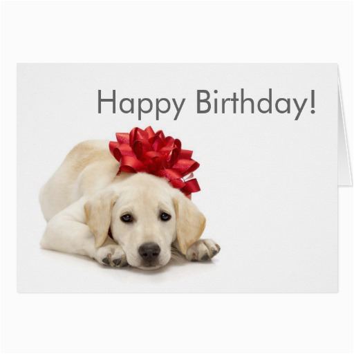 Labrador Birthday Cards Labrador Retriever Happy Birthday Card Zazzle