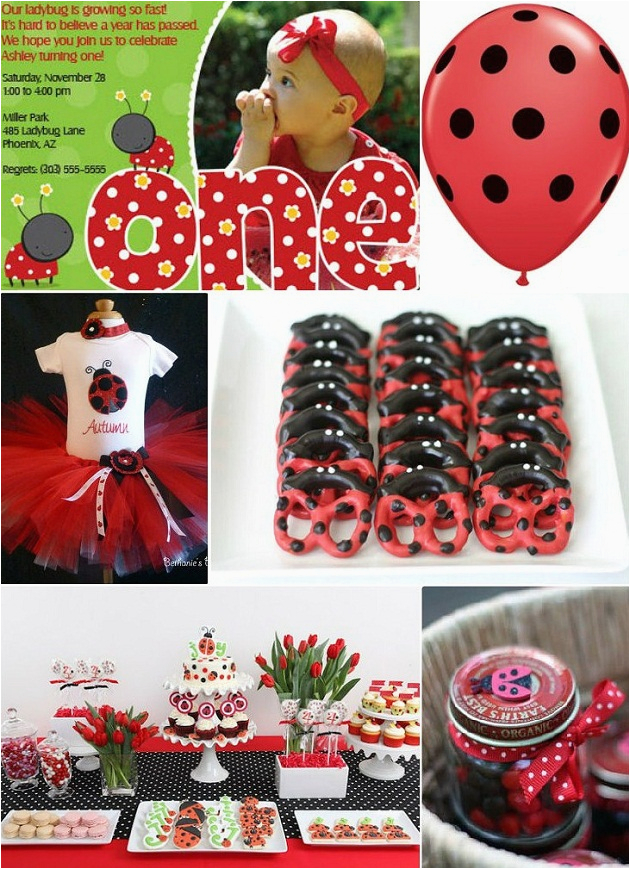 Ladybug 1st Birthday Decorations Ideas for A Ladybug themed 1st Birthday Party