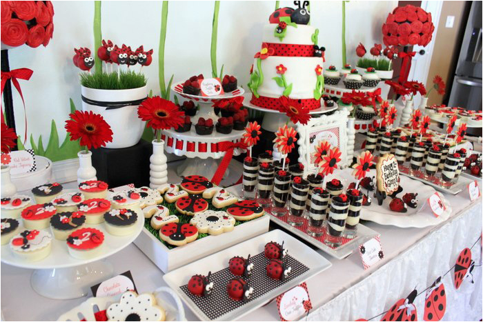 Ladybug Decorations for Birthday Party 2nd Birthday Party themes for the Best Memories for