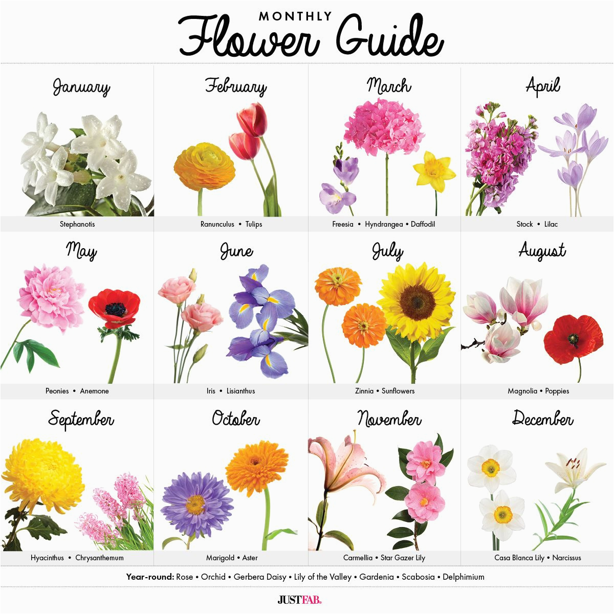 Monthly Birthday Flowers A Visual Guide To Wedding Flowers By Month