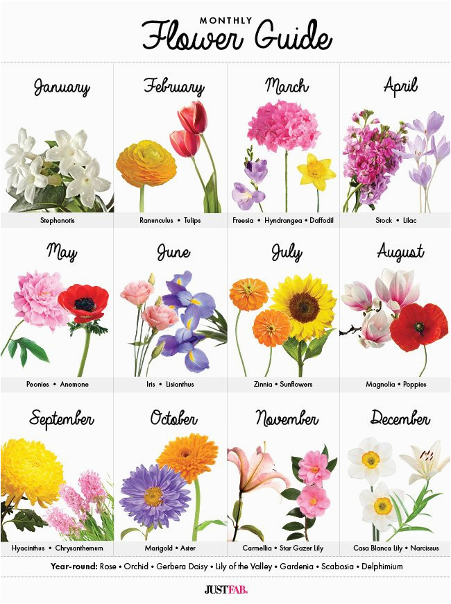 Monthly Birthday Flowers Best 25 Birth Flower Tattoos Ideas On Pinterest