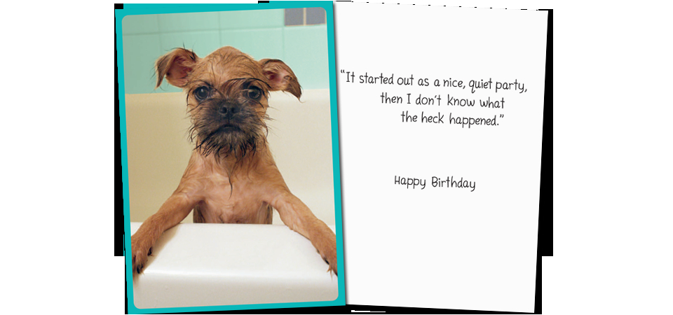 Mooning Duck Birthday Cards Mooning Duck by Emp Media Behind the Card Recycled Mooning Duck Birthday Cards Mooning Duck by Emp Media Behind the Card Recycled