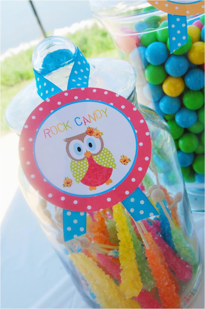 Owl 1st Birthday Decorations Kara 39 S Party Ideas Aloha Owl 1st Birthday Party Via Kara