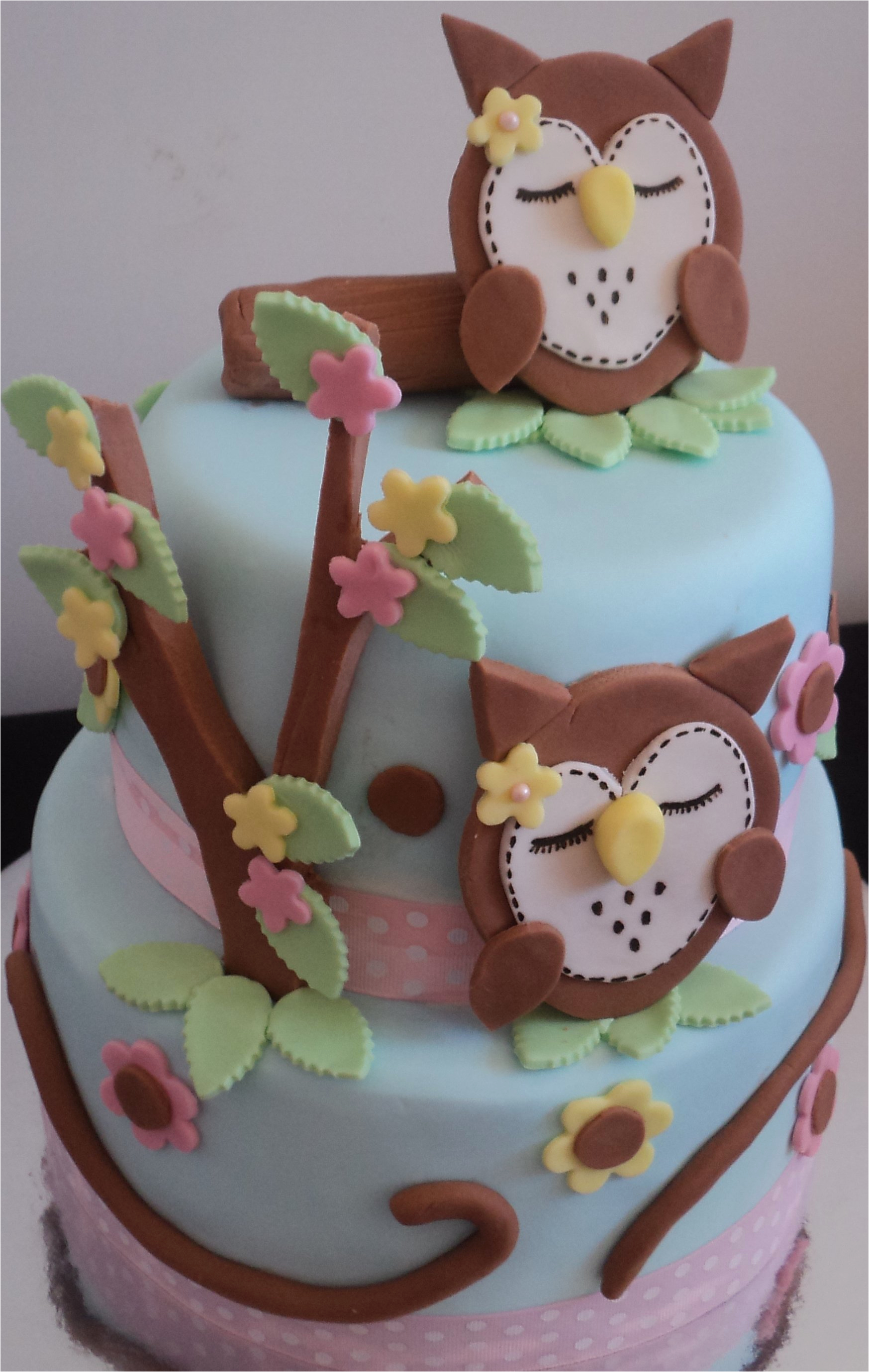 Owl Birthday Cake Decorations Owl Cakes Decoration Ideas Little Birthday Cakes