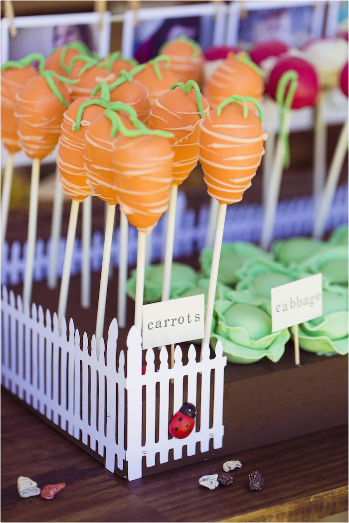 Peter Rabbit Birthday Decorations Kara 39 S Party Ideas Peter Rabbit themed 1st Birthday Party