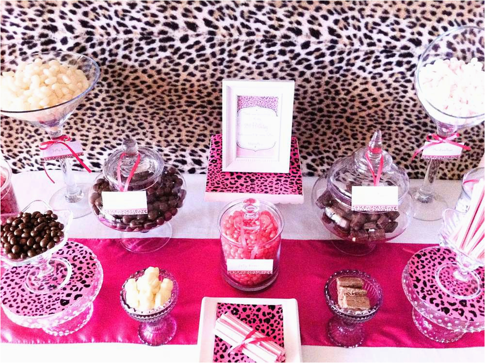 Pink Cheetah Print Birthday Decorations Animal Print Party Decorations Ideas Psoriasisguru Com