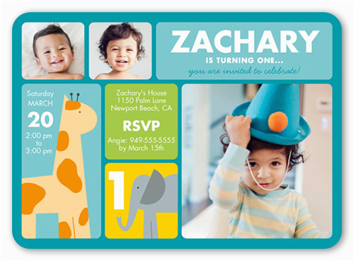 Shutterfly 1st Birthday Invitations Zoo Birthday Invitations Shutterfly