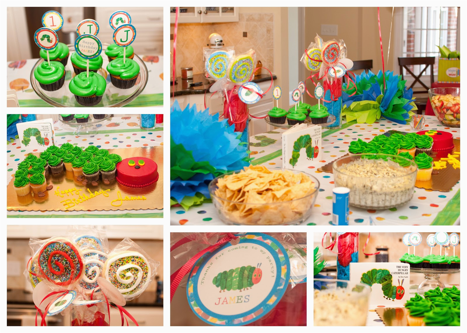 The Very Hungry Caterpillar Birthday Party Decorations the Very Hungry Caterpillar First Birthday Party the