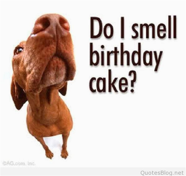 Funny Happy Birthday Pic Quotes Funny Birthday Sayings