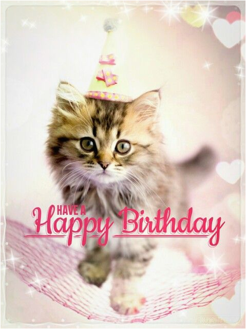 Happy Birthday Cat Quotes Best Happy Birthday Cat Meme