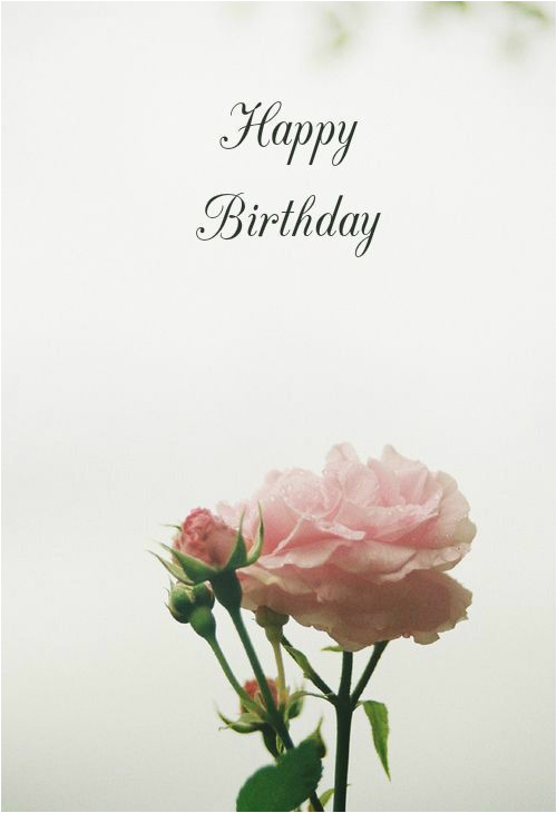 Happy Birthday Rose Quotes Happy Birthday Quotes with Roses Quotesgram