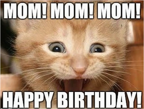 Birthday Meme Mum Happy Birthday Mom Memes Wishesgreeting