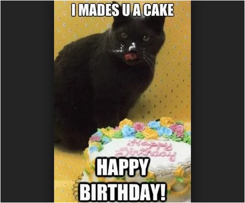 Black Cat Birthday Meme 45 Cat Birthday Memes Wishesgreeting