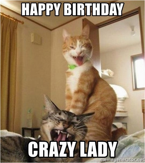 Crazy Lady Birthday Meme Happy Birthday Crazy Lady Crazy Cats 2 Meme Generator