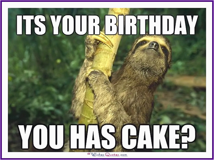 Cute Animal Birthday Meme Happy Birthday Memes with Funny Cats Dogs and Cute Animals