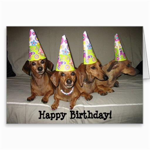 Dachshund Birthday Meme Dachshund Birthday Meme Google Search Birthday Cards