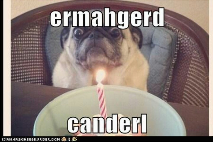 Ermahgerd Birthday Meme 17 Best Images About Ermahgerd Ermahgerds On Pinterest Ermahgerd Birthday Meme 17 Best Images About Ermahgerd Ermahgerds On Pinterest
