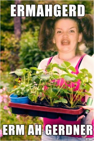 Ermahgerd Birthday Meme 17 Best Images About Oh My God On Pinterest Happy Ermahgerd Birthday Meme 17 Best Images About Oh My God On Pinterest Happy