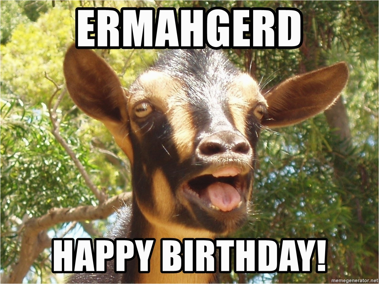 Ermahgerd Birthday Meme Ermahgerd Happy Birthday Illogical Goat Meme Generator Ermahgerd Birthday Meme Ermahgerd Happy Birthday Illogical Goat Meme Generator