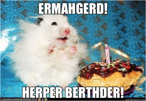 Ermahgerd Birthday Meme Ermahgerd Herper Berthder Ermahgerd Birthday Hamster