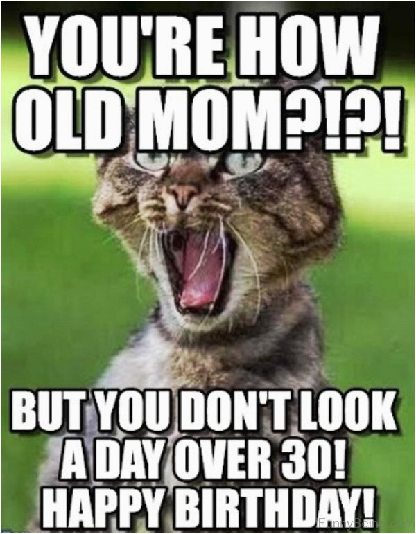 Funny Birthday Memes for Mom Happy Birthday Mom Meme Quotes and Funny Images for Mother