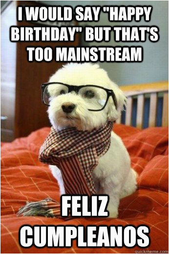 Funny Dog Birthday Memes 17 Best Ideas About Happy Birthday Dog Meme On Pinterest