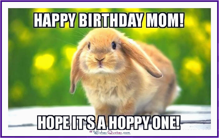 Funny Happy Birthday Meme for Mom Funny Birthday Memes for Dad Mom Brother or Sister Funny Happy Birthday Meme for Mom Funny Birthday Memes for Dad Mom Brother or Sister